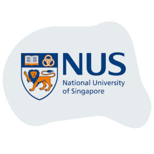 National University of Singapore